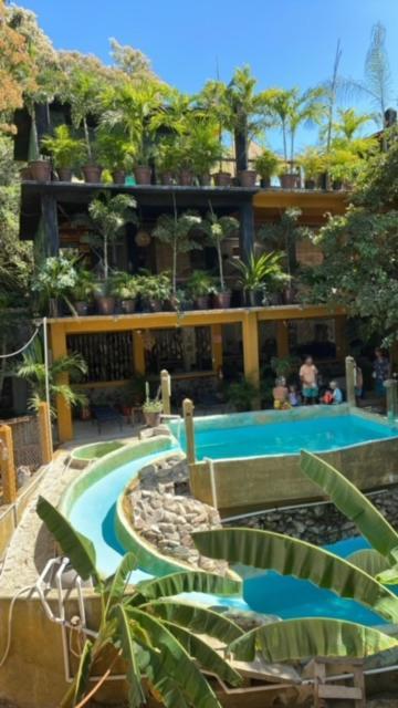 Hostal Casa Del Angel Mazunte Exterior foto